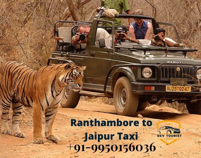 Ranthambore to Jaipur Taxi Service