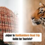 Jaipur to Ranthambore Road Trip Guide for Tourists?
